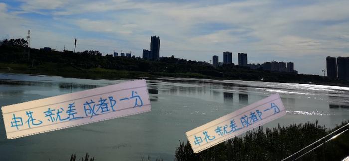 球迷+名宿一顿操作猛如虎！ 一看积分榜 申花只是差成都1分而已